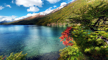 Lake in Argentina, Argentina, Scenery, Nature, Lakes HD wallpaper