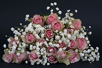 Flowers, Roses, Registration, Typography, Bouquet HD wallpaper