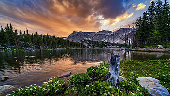 green trees bushes white flowers green leaves lake under clouds mountains Nature HD wallpaper