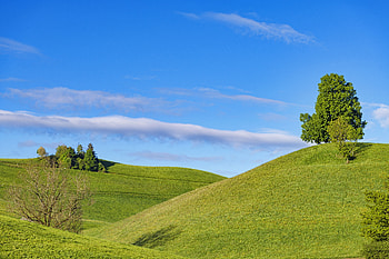 Nature, Grass, Sky, Minimalism, Hills, Slope HD wallpaper