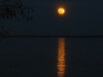 moon, night, refelction, nature, water HD wallpaper