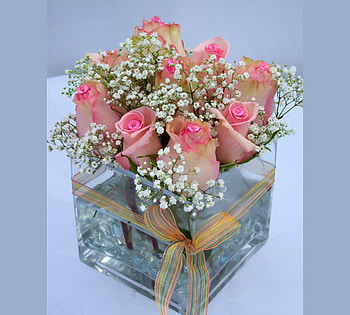I THANK YOU for the friendships, blue, pink, baby breath, roses, box, ribbon, gift HD wallpaper