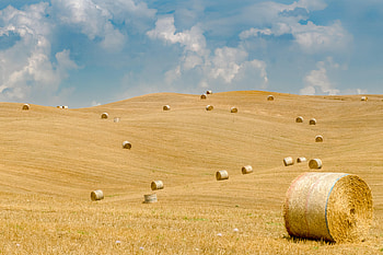 Landscape, Nature, Field, Hills, Straw, Bales HD wallpaper