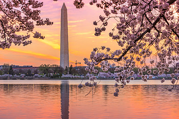 Washington Monument, Inspiring views, Washington Monument HD wallpaper