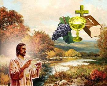 Eucaristia, mass, jesus, christ, bread, wine HD wallpaper