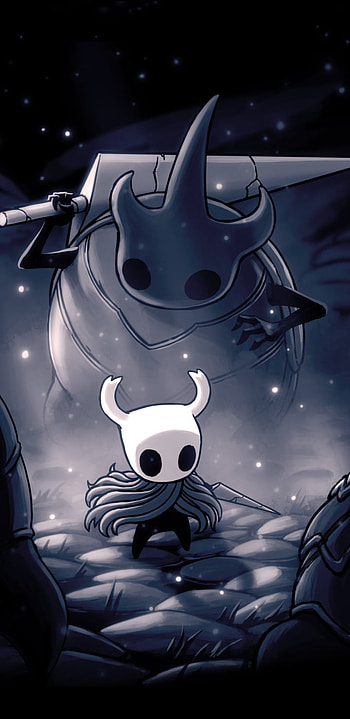 Hollow Knight Nightfall: Epic from the Video Game Realm, video game, Hollow Knight HD phone wallpaper
