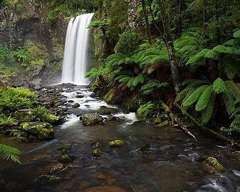 Hoptoun Falls, falls, trees, water, rock HD wallpaper
