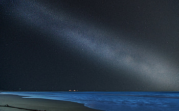 Nature, Sea, Night, Beach, Dark, Starry Sky HD wallpaper