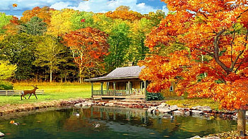 Autumn scene, Lake, Autumn, Trees, Fall HD wallpaper