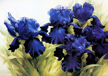 Beautiful Blue Flags F1C, art, floral, romance, beauty, artwork, wide screen, painting, flower, love, irises HD wallpaper