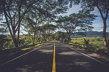 Serene road flanked by vibrant trees and lush greenery in Thailand's rural landscape. HD wallpaper