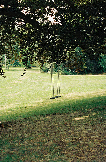 Swing, Grass, Miscellanea, Miscellaneous, Wood, Tree, Greens, Lawn HD phone wallpaper