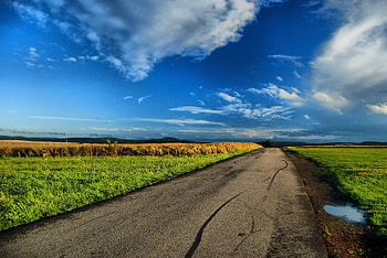Landscape, Nature, Road, Field, Puddles HD wallpaper