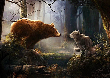 'Lets be friends'......, bears, wild, wolves, animals HD wallpaper