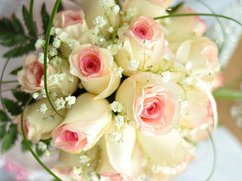 Bouquet, roses, petals, flower HD wallpaper