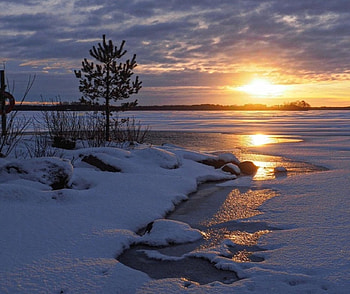 winter scene, winter, nature, , scene HD wallpaper