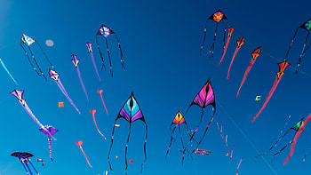 Adelaide International Kite Festival, Australia, man made, kite HD wallpaper