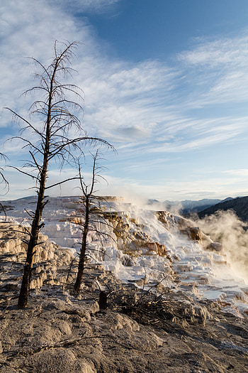 Nature, Trees, Ice, Steam, Glacial, Glas There HD phone wallpaper