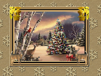 Pretty christmas scene, holiday, cardinal, christmas, tree HD wallpaper