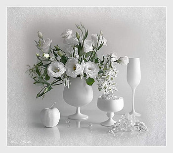 White elegance, still life, decoration, white, flower HD wallpaper