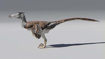 Animation courtship display, Velociraptor monogliensis, Finished project, Blender artists community HD wallpaper