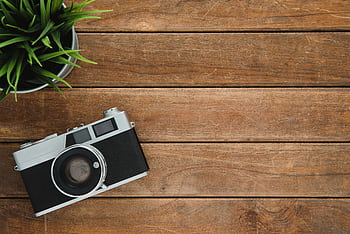 Retro camera and potted plant on wooden surface with copy space. HD wallpaper