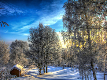winter, snow, house, tree HD wallpaper