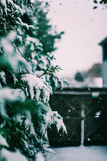First snowfall, Winter's arrival, challenge, Scenic snow graphy HD phone wallpaper