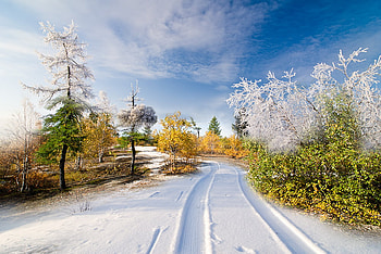 winter, scenery, white, landscape, road, nature HD wallpaper