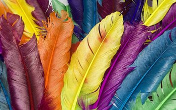 Feather, Bright, Miscellanea, Miscellaneous, Multicolored, Motley, Colorful, Colourful HD wallpaper