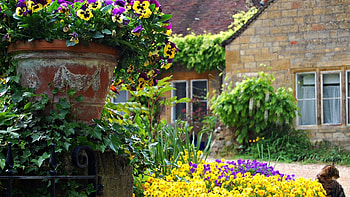 Nature, Flowers, Building HD wallpaper