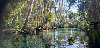 Florida nature, Stunning , Breathtaking visuals, Natural beauty HD wallpaper