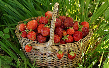 Fruits, Food, Strawberry HD wallpaper