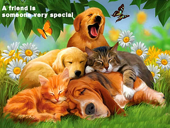 A friend is someone very special, Dogs, cats, puppies, grass, daisies, kittens, butterflies, leaves, flowers, friendship HD wallpaper