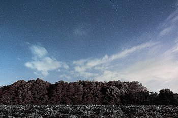 Nature, Trees, Sky, Stars, Clouds HD wallpaper
