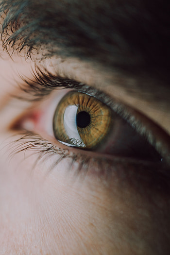 Macro, Eye, Pupil, Eyelash, Eyelashes HD phone wallpaper