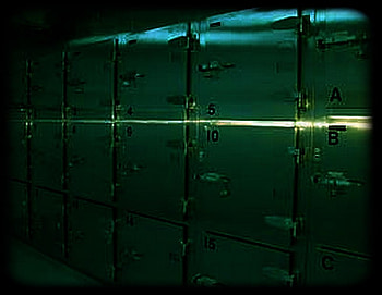 HORROR IN THE MORGUE, night, scary, morgue, goth, nightmare, dark HD wallpaper