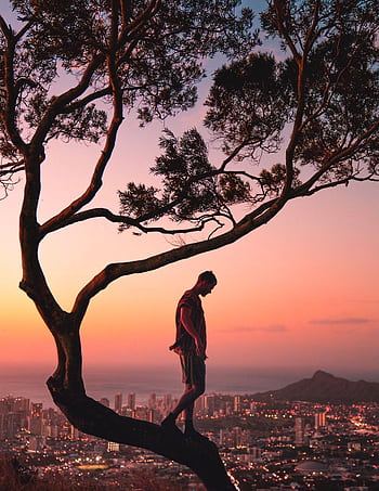 Silhouetted man on a tree at sunset with a panoramic view of Honolulu cityscape in the background. HD phone wallpaper