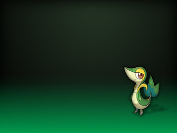 sadsa, sda, sad, dsa, asd HD wallpaper