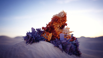 Desert Crystal Digital Art, desert, nature, artist, digital-art HD wallpaper