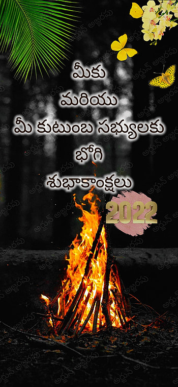 Bhogi, sankranti, festival, telugu HD phone wallpaper