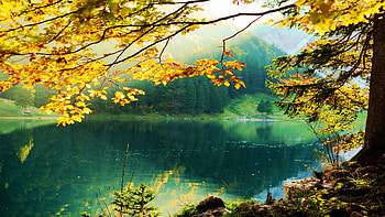 Swiss Alps in October, clouds, landscape, autumn, sky, water, lake, tree, fall, colors, leaves HD wallpaper