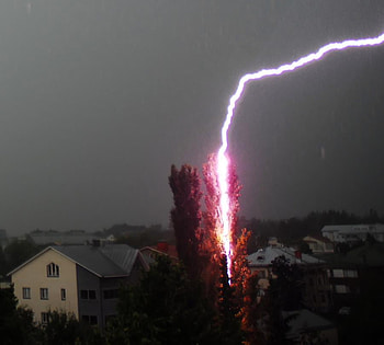 SHOCKING, weather, stor, lighting, tree HD wallpaper