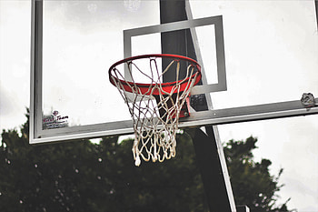 Sports, Basketball, Grid, Basketball Backboard, Basketball Shield HD wallpaper