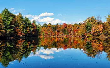 Autumn Colors Ablaze in Upstate New York, leaves, fall, trees, colors, water, usa, reflections HD wallpaper