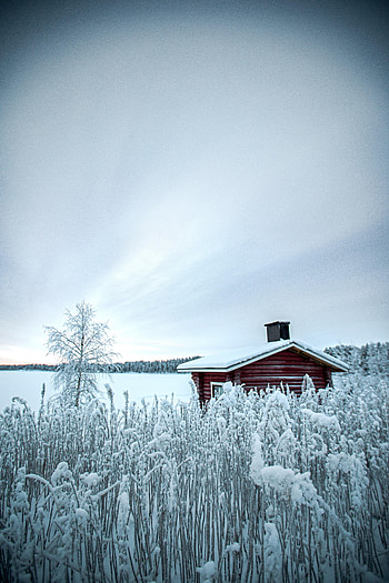 Winter, Nature, Snow, House HD phone wallpaper