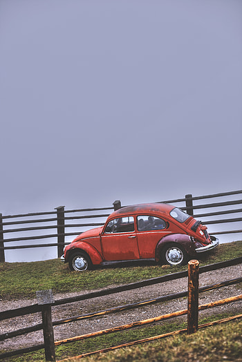 Cars, Car, Retro, Fencing, Enclosure, Hillock HD phone wallpaper