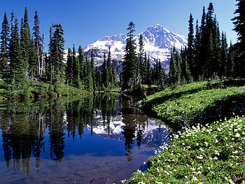 Nature, Water, Trees, Mountains, Lake, Transparent HD wallpaper