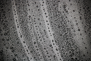 Drops, Macro, Wet, Surface, Bw, Chb, Humid HD wallpaper
