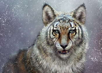 Wolftiger, winter, animal, wisekind wolftiger, bjpentecost, bobbie the jean, fantasy, art, luminos HD wallpaper